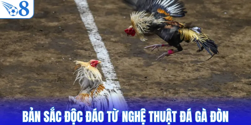 Bản sắc độc đáo từ nghệ thuật đá gà đòn