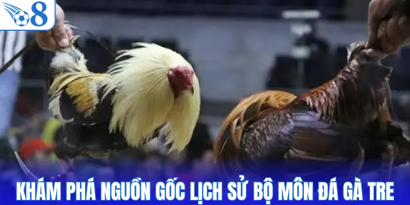 Khám phá nguồn gốc lịch sử bộ môn đá gà tre