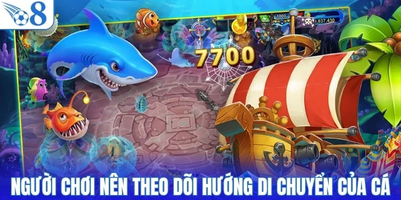 Người chơi nên theo dõi hướng di chuyển của cá