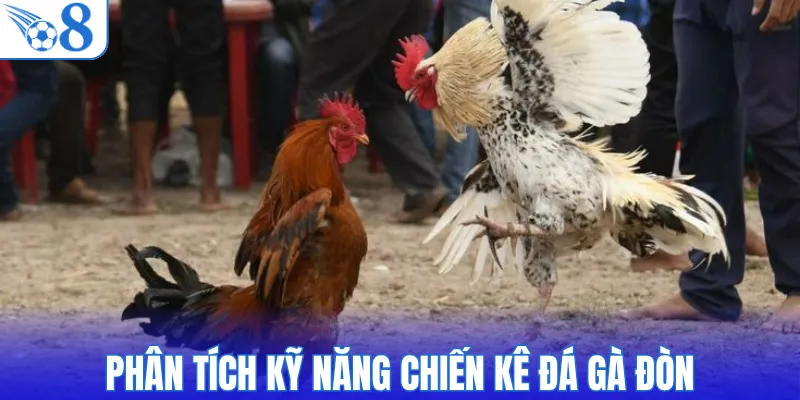 Phân tích kỹ năng chiến kê đá gà đòn