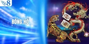Tìm Hiểu Game Rồng Hổ Từ Luật Chơi Đến Cách Tính Điểm
