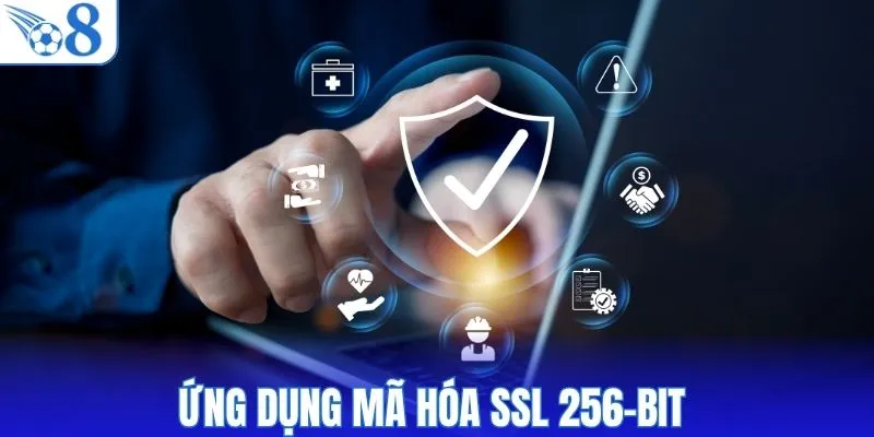 Ứng dụng mã hóa SSL 256-bit 